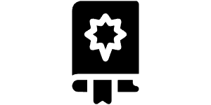 Launch and delivery icon