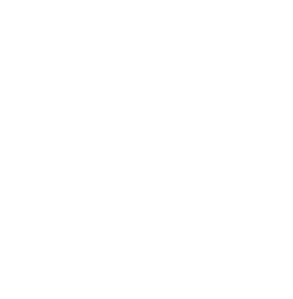 Dedicated book writer icon